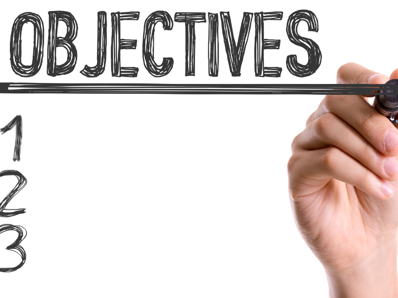 Action plan - objectives