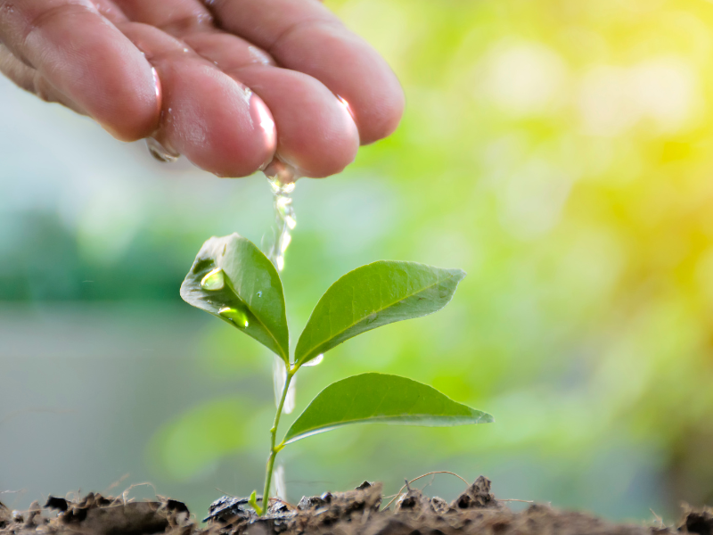 low cost business ideas with high profits