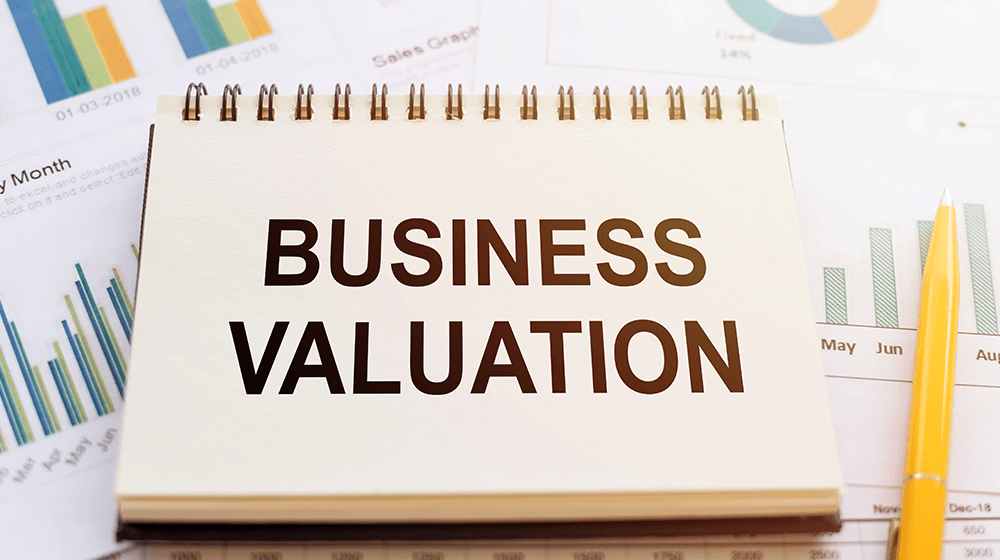 ../static/picture/business-valuation-1.png